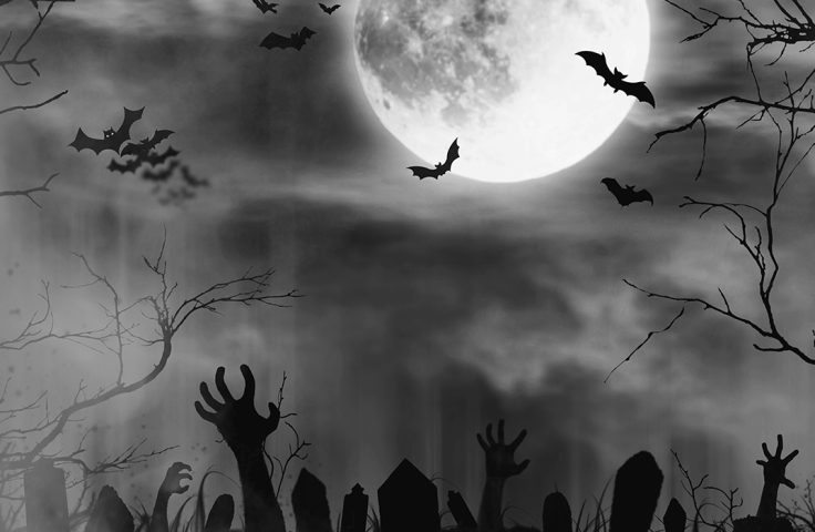WebsiteHeader_1200x700px